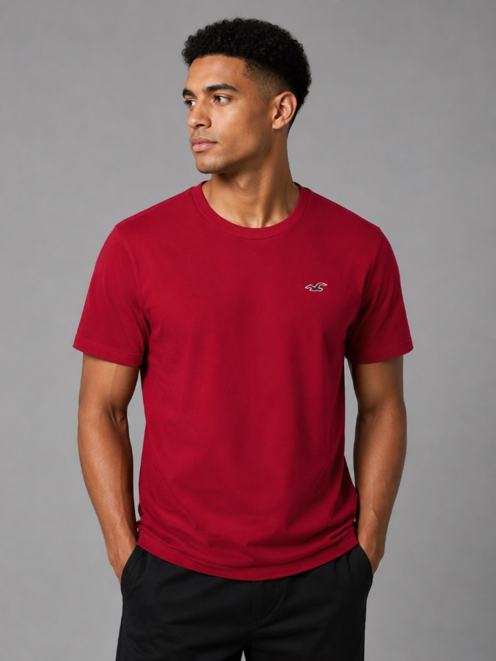 Hollister Men's Must-Have Collection Tee